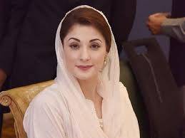 وزیراعلیٰ پنجاب مریم نواز نے محکمہ جنگلات میں برانچ لیس بینکاری نظام نافذ کردیا۔