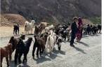 قدرت سے جڑنے کی پشتون روایت 'ماتہ' کیا ہے؟