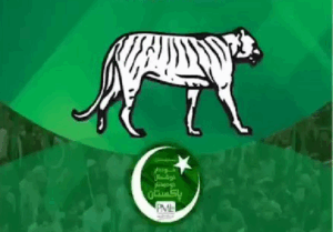 پی پی 52 ضمنی الیکشن: مسلم لیگ ن کی حنا ارشد وڑائچ نے میدان مار لیا