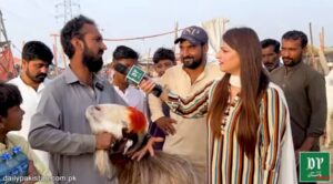 بلوچستان سے آیا 350 کلو وزنی بکرا لاہور میں سب کی توجہ کا مرکز بن گیا، صرف ساڑھے 4 لاکھ روپے میں آپ اس کے مالک بن سکتے ہیں۔