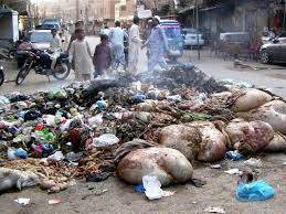 ڈمپرز ایسوسی ایشن کا عیدالاضحیٰ پر کراچی سے آلائشیں نہ اٹھانے کا اعلان