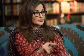 پاک بھارت جنگ بندی کو امن نہ سمجھا جائے، یہ انتہائی نازک اور کسی بھی وقت ٹوٹ سکتا ہے: شیری رحمان