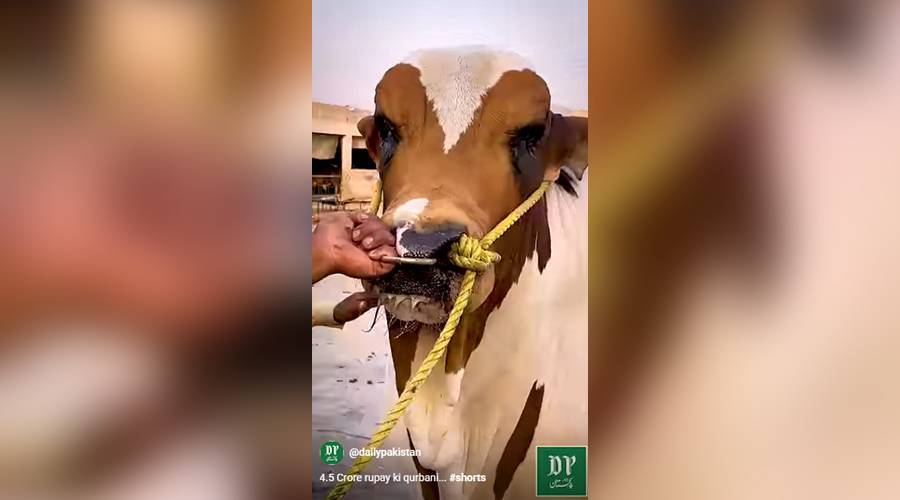 عیدالاضحیٰ کا پہلا دن مذہبی جوش و جذبے سے منایا گیا، دوسرے دن بھی قربانی جاری ہے