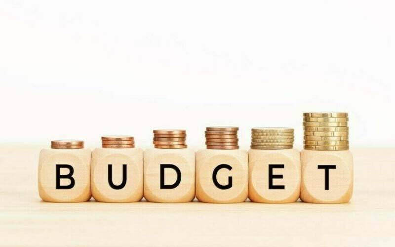 بجٹ 26-2025 آئندہ مالی سال کی قرض وصولیوں کے لیے پلان تیار