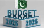 بجٹ 2025-26، وفاقی بجٹ کی دستاویز سامنے آ گئیں، کیا کیا تجاویز ہیں ؟ جانئے