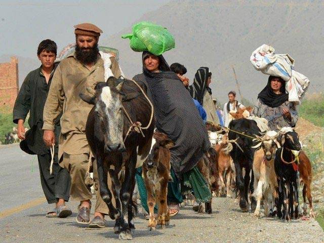 یکم اپریل سے اب تک کتنے غیر قانونی غیر ملکیوں کو واپس بھیجا جا چکا ہے۔۔؟ اہم تفصیلات سامنے آ گئیں