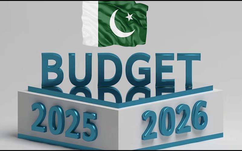 مالی سال 2025-26 کے بجٹ میں نیشنل اے آئی ایڈوانسمنٹ منصوبے کے لیے بھی فنڈز مختص
