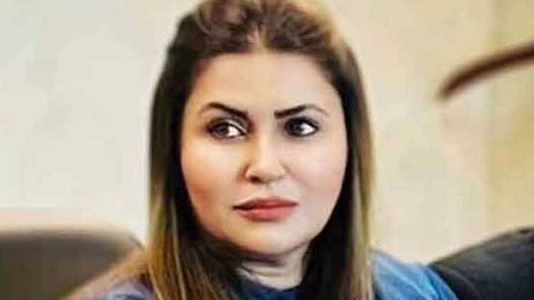 پیپلزپارٹی نے سولر پینلز پر 18 فیصد ٹیکس مسترد کردیا