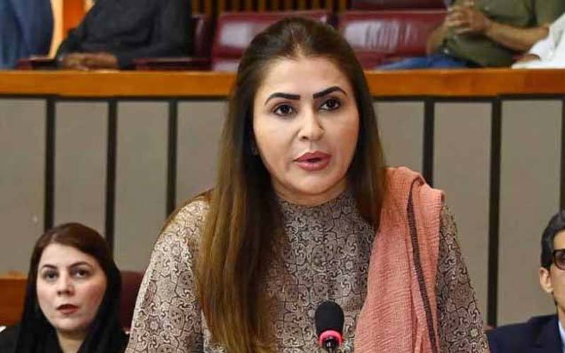 حکومت کا وہ ٹیکس جسے پیپلز پارٹی نے ماننے سے انکار کر دیا