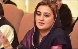 بجٹ کے فوری بعد بلدیاتی انتخابات کرائیں گے، عظمیٰ بخاری
