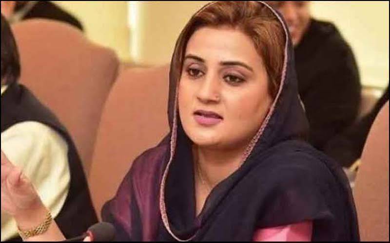 بجٹ کے فوری بعد بلدیاتی انتخابات کرائیں گے، عظمیٰ بخاری