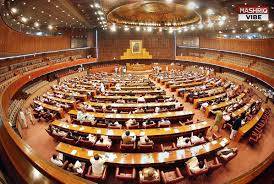سینیٹ اجلاس میں اپوزیشن نے بجٹ کو "امیر پرور" اور "غریب کش" قرار دے دیا