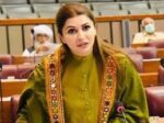 حکومت کی سپورٹ کا مطلب یہ نہیں ہم اس بجٹ کا حصہ ہیں: شازیہ مری