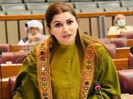 حکومت کی سپورٹ کا مطلب یہ نہیں ہم اس بجٹ کا حصہ ہیں: شازیہ مری