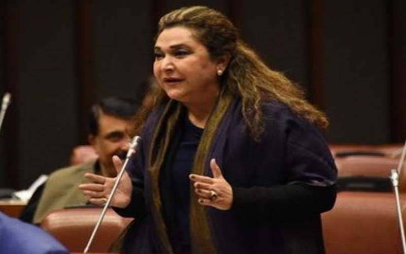 غریب کو بجٹ میں کچھ نہیں دیا گیا،سینیٹر زرقا سہروری