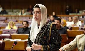 بلاول بھٹو نے مشکل وقت میں پاکستان کی دنیا میں نمائندگی کی: آصفہ بھٹو