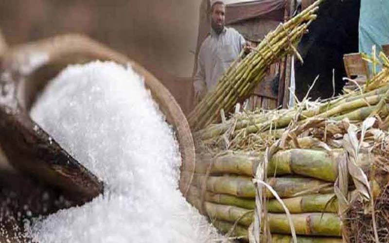 چینی کے سٹے بازوں اور ذخیرہ اندوزوں کیخلاف سخت کارروائی کا فیصلہ