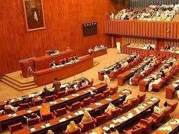 بجٹ پر تجاویز رپورٹ سینیٹ میں پیش، اپوزیشن کا اعتراض، حکومت کی وضاحتیں