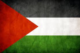 شام نے فلسطینی رہنما طلال ناجی کو بے دخل کر دیا، اماراتی اخبار