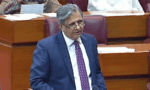 قائمہ کمیٹیاں کیسز ختم کرنے کے لئے نہیں، قانون کے مطابق چلیں گے: اعظم تارڑ