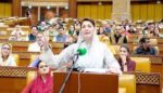 نواز شریف کو مائنس کرنے والے آج خود مائنس ہو گئے: مریم نواز