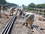 تھر کے کوئلے کو کراچی پہنچانے کیلئے اسلام کوٹ سے چھور تک ریلوے لائن بچھانے کا فیصلہ