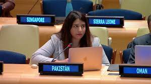 پاکستان نے اقوام متحدہ کی جنرل اسمبلی میں بھارت کا بھیانک چہرہ اور ناپاک عزائم بے نقاب کردیئے