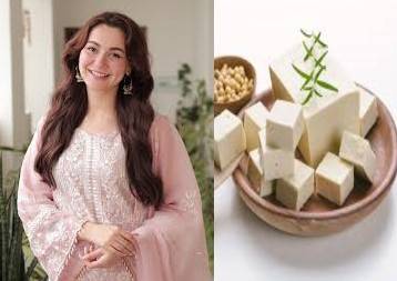 بھارتی نیوز چینل نے ہانیہ عامر کا نام بدل کر ’ہانیہ پنیر‘ رکھ دیا