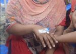 لاہور: جوہر ٹاؤن، فارم ہاؤس میں شیر نے فیملی پر حملہ کردیا