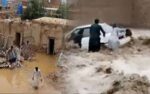 بلوچستان میں حالیہ مون سون بارش سے کتنا نقصان ہوا؟ پی ڈی ایم اے کی رپورٹ جاری
