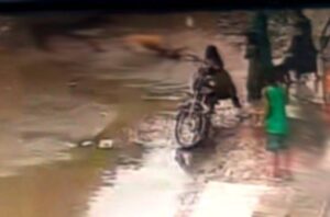لاہور میں پالتو شیر کے بعد کتے کا بچے پر جان لیوا حملہ