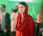 پیرا قانون شکنوں کے لیے خوف کی علامت ہوگی: مریم نواز