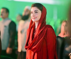 پیرا قانون شکنوں کے لیے خوف کی علامت ہوگی: مریم نواز