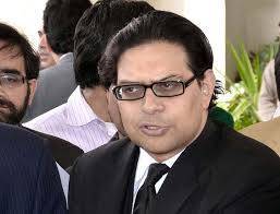 90 دن کی بات وزیر اعلیٰ خیبر پختونخوا علی امین گنڈا پور کی اپنی بات ہے اور پارٹی کا فیصلہ نہیں ، سلمان اکرم راجا
