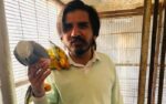 پرندے فروش نوجوان کو صحافی اسد علی طور کو نایاب طوطا فروخت کرنا مہنگا پڑ گیا، ایف آئی اے نے اکاونٹ ہی منجمد کر دیا