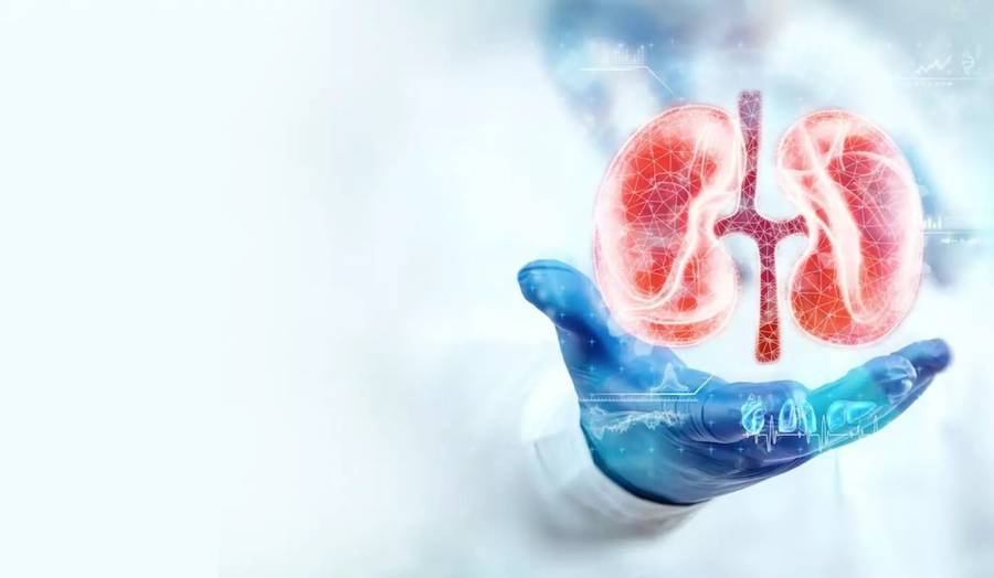 14 سالہ جواد کے اعضاء نے 5 زندگیاں روشن کر دیں