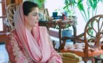 وزیراعلیٰ پنجاب کی پولیس قافلے پر بھارتی سپانسرڈ دہشتگردوں کے حملے کی شدید مذمت