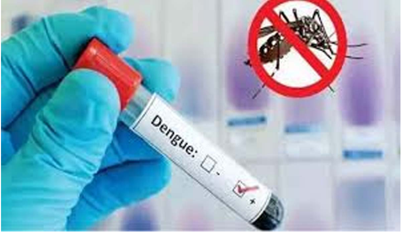 پنجاب میں پرائیویٹ لیبز کے لیے ڈینگی ٹیسٹ کے ریٹس جاری