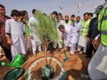 ایک کال کریں، پودا اپنے گھر لگوائیں