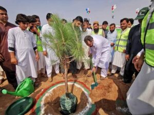 ایک کال کریں، پودا اپنے گھر لگوائیں