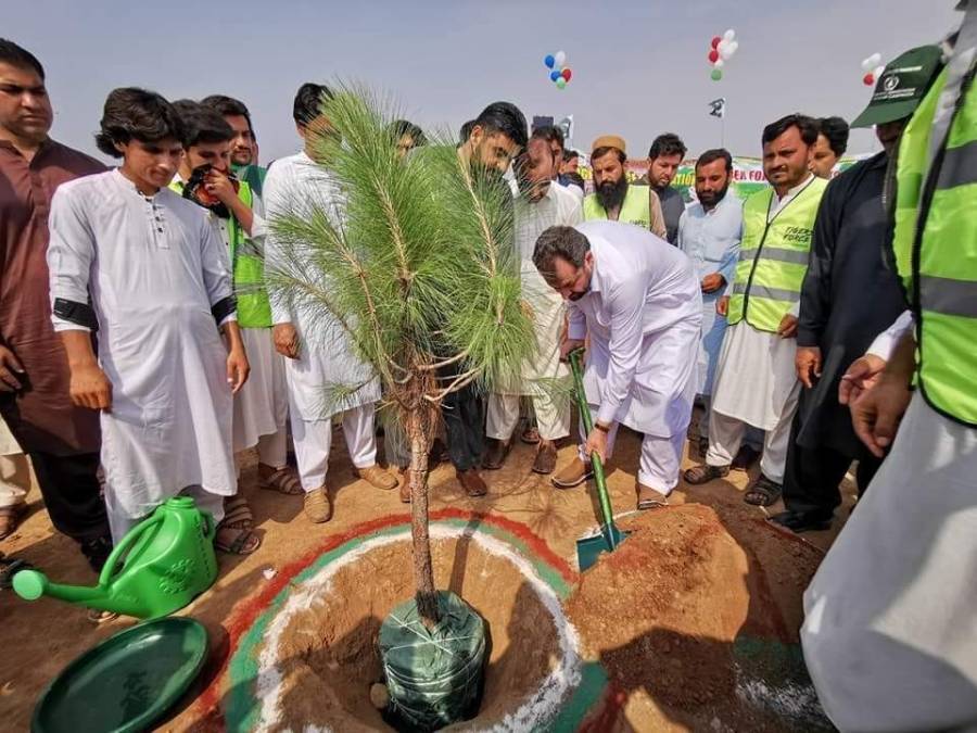 ایک کال کریں، پودا اپنے گھر لگوائیں