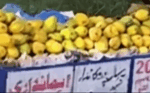 لوگوں کی ایمانداری آزمانے کے لیے چکوال میں دکاندار کے بغیر آموں سے بھری ریڑھی لگادی گئی، پھر نتیجہ کیا نکلا؟