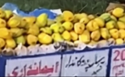 لوگوں کی ایمانداری آزمانے کے لیے چکوال میں دکاندار کے بغیر آموں سے بھری ریڑھی لگادی گئی، پھر نتیجہ کیا نکلا؟