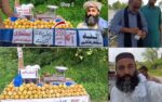 چکوال کے بعد راولپنڈی میں شہریوں نے ایمانداری کی نئی مثال قائم کر دی، دکاندار کے بغیر آموں کی ریڑھی کا نتیجہ 100 فیصد نکل آیا۔
