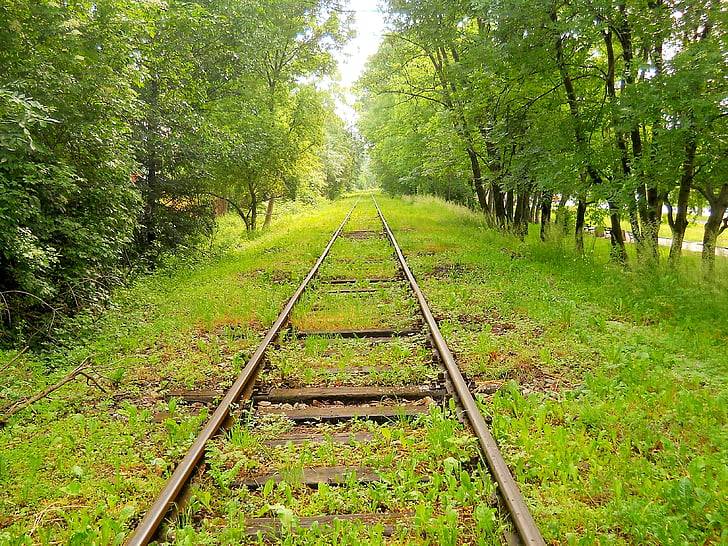 حکومت پنجاب کا سوا 2 ارب کی لاگت سے گرین کوریڈور منصوبہ شروع کرنے کا فیصلہ