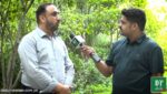 ابھی کال کریں اور اپنے گھر پر مفت پودے لگوائیں، حکومت پنجاب کی انتہائی شاندار پیشکش