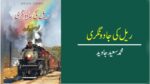 روس آزاد اسلامی ریاستیں ہڑپ کرنے کے بعد سکون سے بیٹھ گیا تھا، اس لیے انگریز حکومت نے قندھار ریلوے لائن بچھانے کی ضرورت محسوس نہیں کی۔