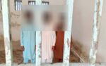 ٹوبہ ٹیک سنگھ میں فصل میں گھسنے پر بھینس کی ٹانگیں توڑ دی گئیں، تین ملزمان گرفتار