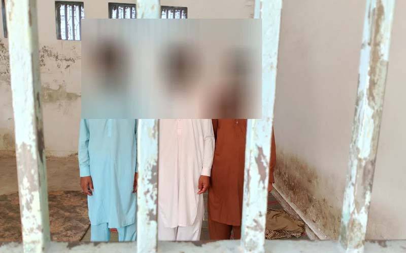 ٹوبہ ٹیک سنگھ میں فصل میں گھسنے پر بھینس کی ٹانگیں توڑ دی گئیں، تین ملزمان گرفتار