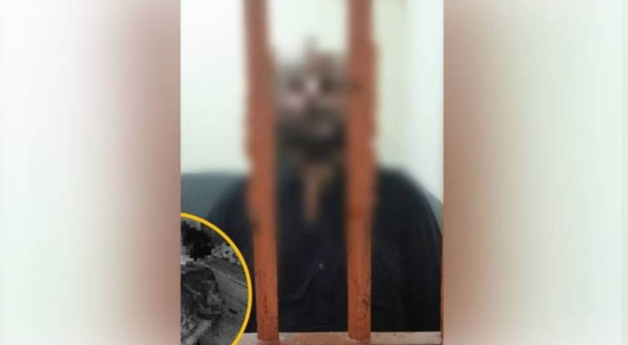 وزیراعلیٰ پنجاب مریم نواز کا لاہور میں 60 سالہ خاتون کے قتل پر نوٹس، تفصیلی رپورٹ طلب